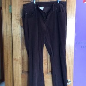 Size 24 Corduroy chocolate brown pants